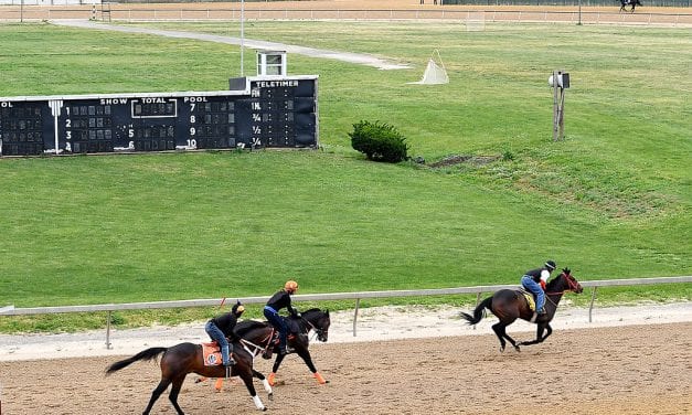 Timonium welcomes hundreds of Laurel horses