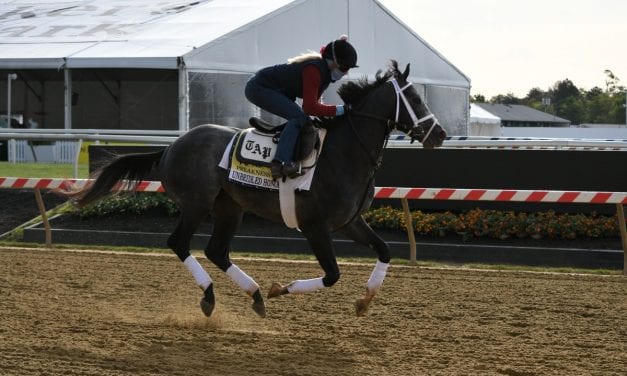 Preakness Profile: Unbridled Honor