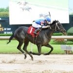 Preakness: NY trio has final breezes