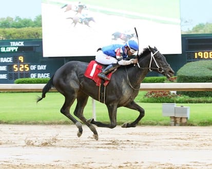 Willful Woman heading to Black-Eyed Susan