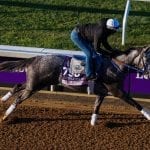 Pimlico Pick 6 to pay out July 4