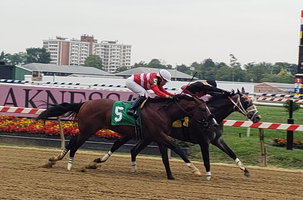 Band On Tour (inside) held off Exculpatory to win at Pimlico. Photo by The Racing Biz.