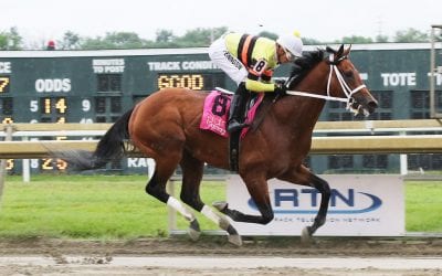 Chris Feifarek hoping for “heroic” future for Beren