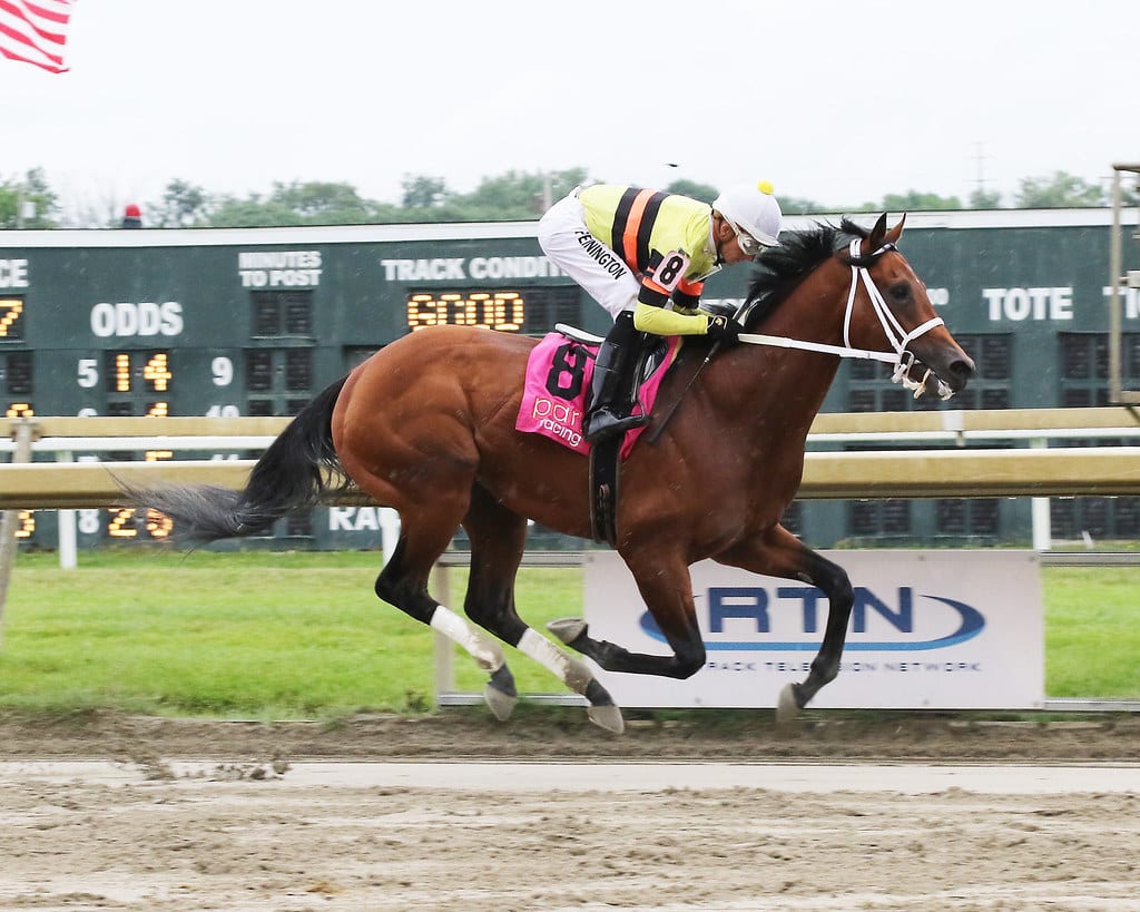 Beren won the 2021 Crowd Pleaser at Parx Racing. Photo by Barbara Weidl/EQUI-PHOTO.