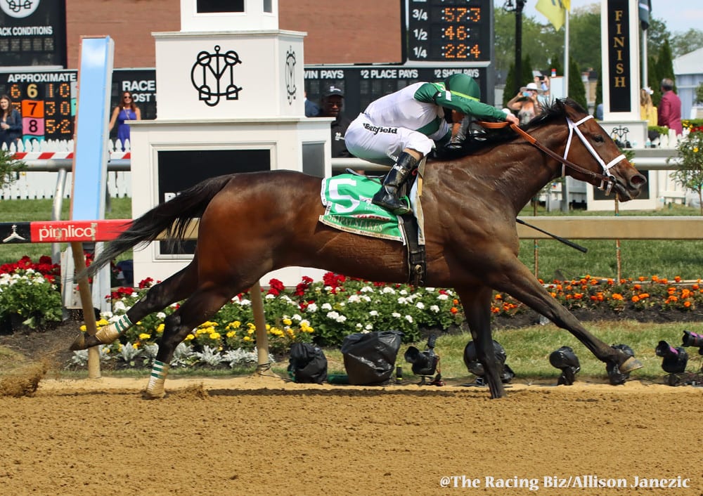 Chub Wagon won the Skipat Stakes. Photo by Allison Janezic.