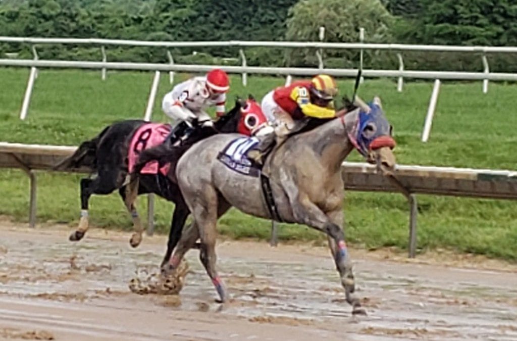 Delaware: Dream Marie DQ upheld