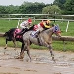 Delaware Commission hears from new owners