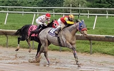 Dream Marie rallies to Obeah Stakes win