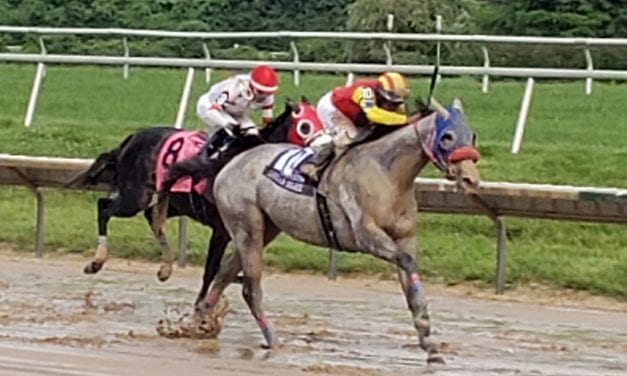 Delaware: Dream Marie DQ upheld