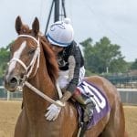 Spa selections 2021: Saratoga picks August 20