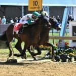 Pimlico picks and ponderings June 18, 2021