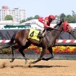 Essential Quality earns Belmont triumph