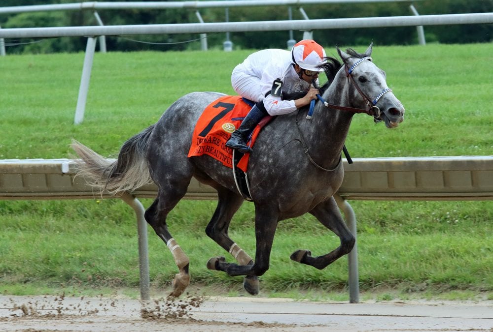 Delaware Park picks and horses to watch: October 1