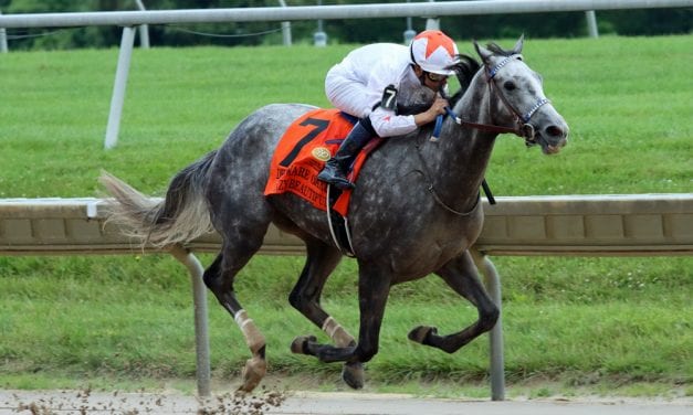 Delaware Park picks and horses to watch: August 3