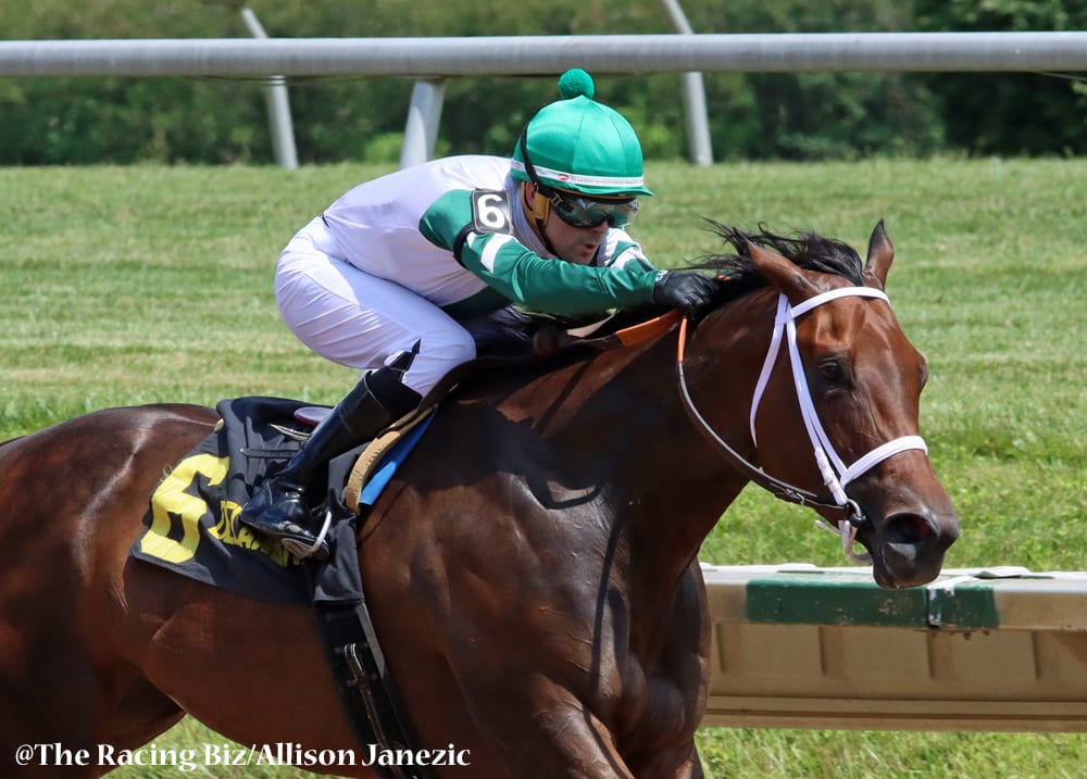 Chub Wagon won the Dashing Beauty Stakes. Photo by Allison Janezic.