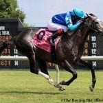 Knicks Go tabbed as G1 Whitney favorite