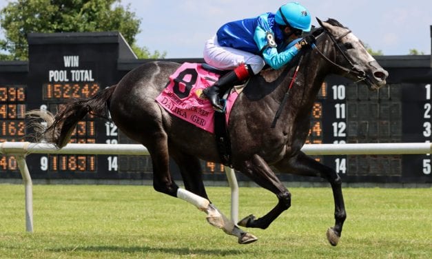 Delaware Park Handicappers’ Notebook 2022 Vol. 6