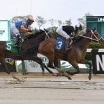 Dallas Stewart on Off to the Races Radio
