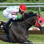 Delaware Park Handicappers’ Notebook 2021 Vol. 7