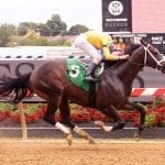 Laurel Park picks and ponderings September 16, 2021