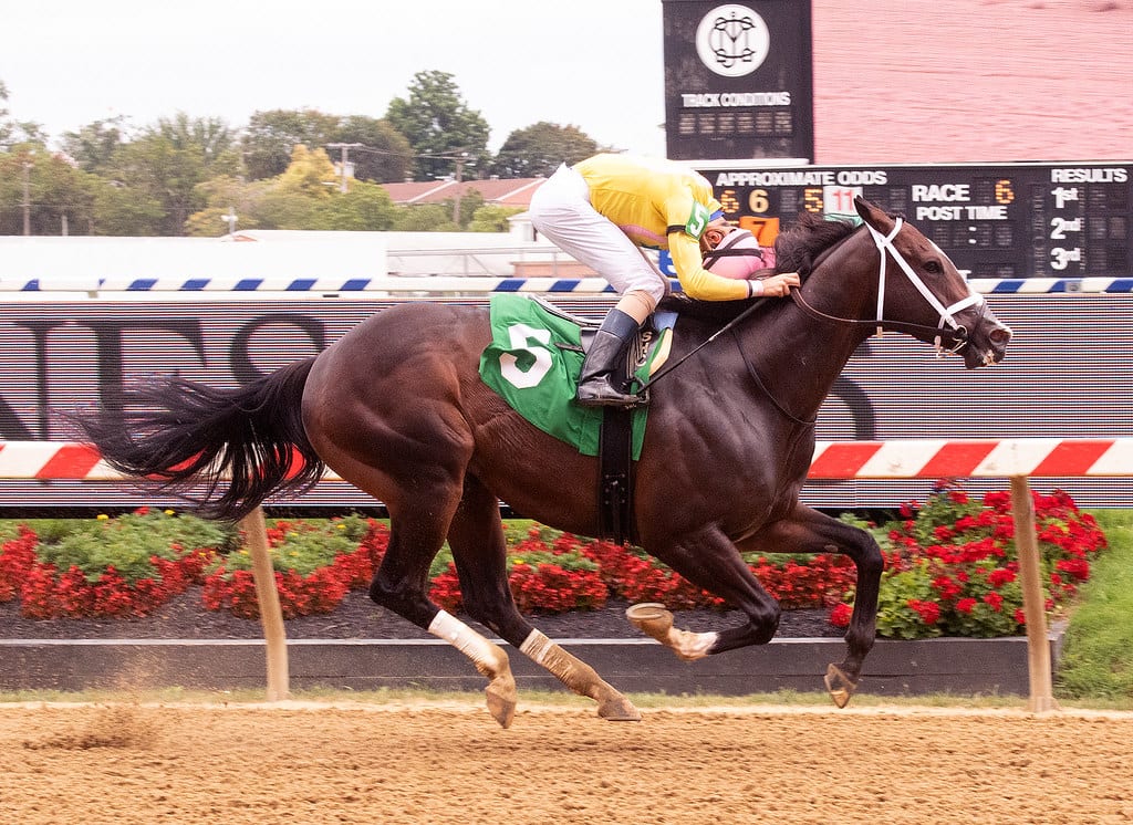 Wondrwherecraigis dominated a Pimlico allowance. Photo Jim McCue, Maryland Jockey Club.