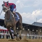 Yaupon, Mrs. Orb score in Match Series stakes