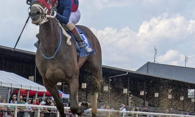 5 questions for Saturday’s Md Pride stakes