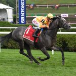 From the Spa: July 28 Midlantic-breds in Saratoga stakes