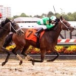 Yaupon tops Lite the Fuse