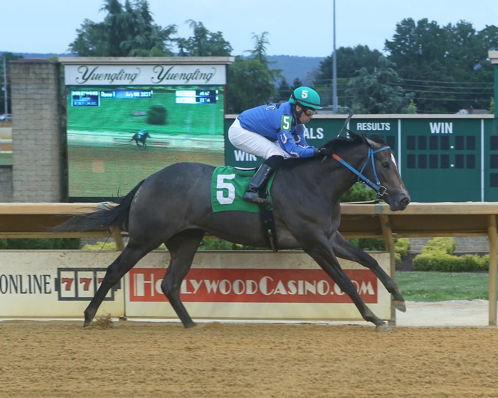 Fancy Her Up won at Charles Town at first asking. Photo by Coady Photography.