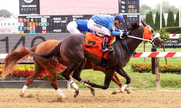 Hicktown right at home in Pimlico debut