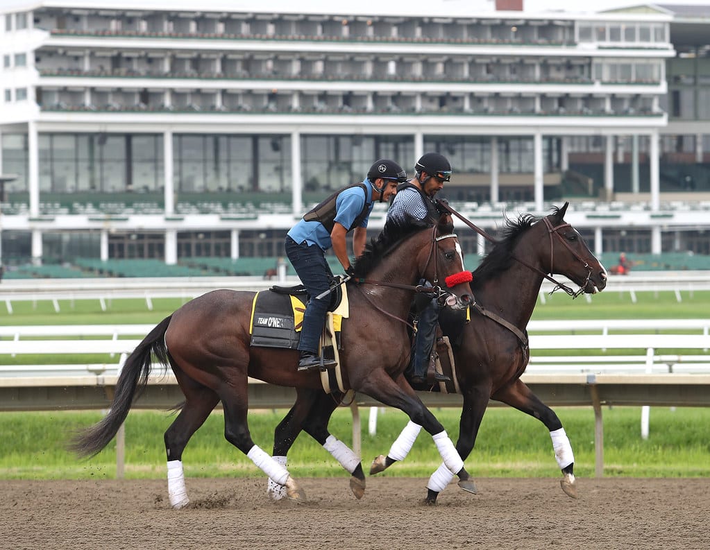 Hot Rod Charlie on the track at Monmouth Park. Photo Bill Denver/EQUI-PHOTO.