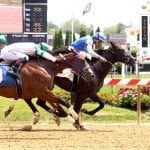 Maryland Million: 5 story lines to follow