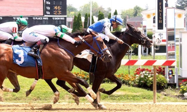 Pimlico: Mr. Mox wins on debut