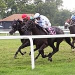 Colonial Downs: Trombetta could saddle six in Va. stakes