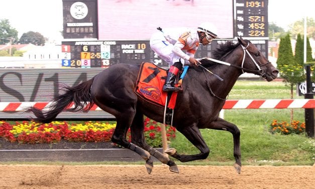 Yaupon, Mrs. Orb score in Match Series stakes