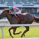 Pimlico picks and ponderings August 15, 2021