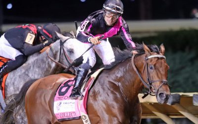 Hall of Fame trainer trio adds Charles Town Classic intrigue