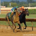 Laurel Park picks and ponderings October 7, 2021