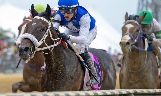 Cynergy’s Star sweeps to Timonium Juvenile