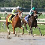 Two-year-old Bound by Destiny “knows how to win”