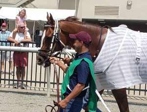 just might-pre race