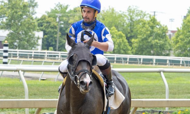 Ruben Silvera looking for bolstered Laurel presence