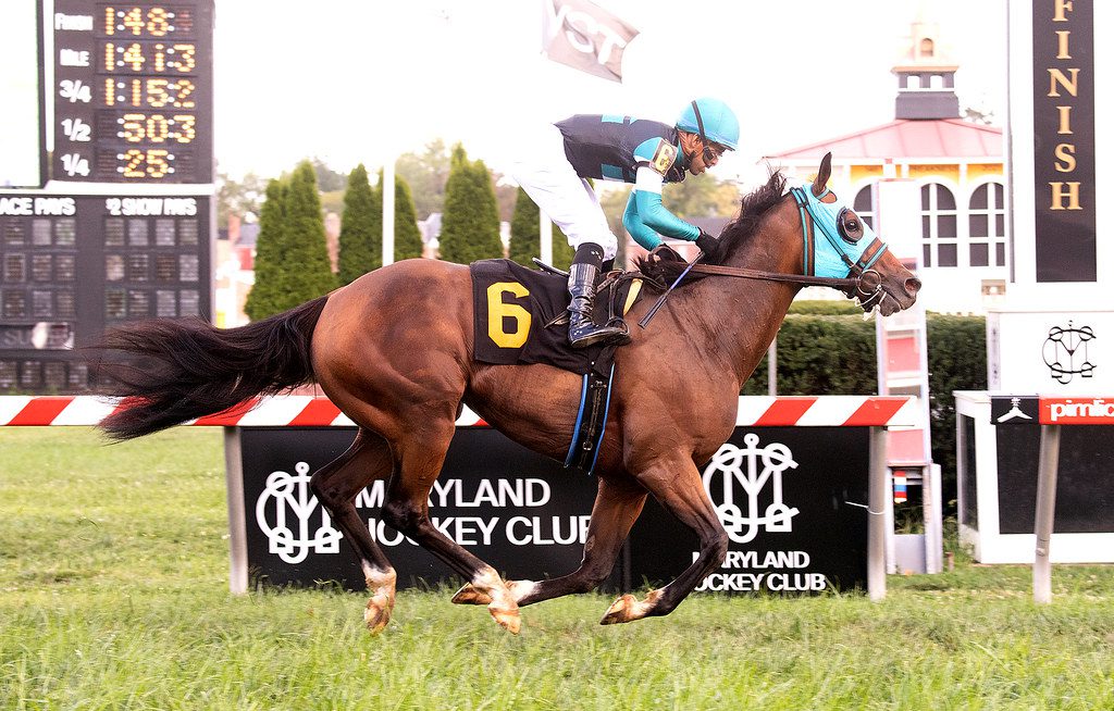 Somekindofmagician took the 2021 Find Stakes at Pimlico. Photo Jim McCue, Maryland Jockey Club.