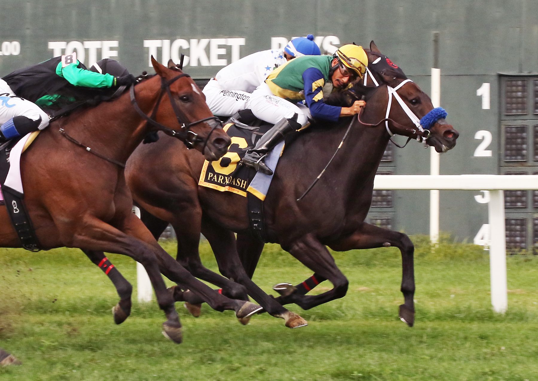 The Critical Way #6 with Paco Lopez riding wins the $200,000 Parx Dash (GIII) over Battle Station (L) at Parx Racing in Bensalem, PA. Photo by Barbara Weidl/EQUI-PHOTO.