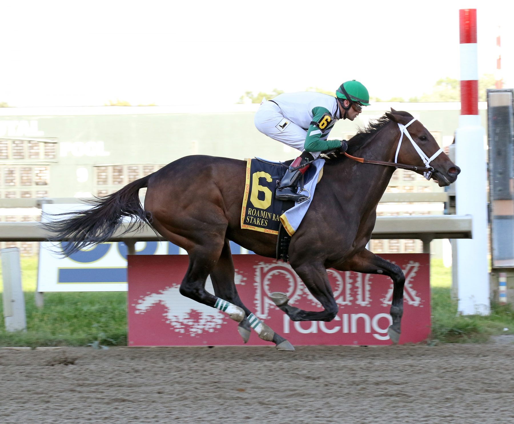 Chub Wagon #6 ridden by Jomar Torres wins the $100,000 Roamin Rachel Stakes at Parx Racing in Bensalem, PA. Photo by Barbara Weidl/EQUI-PHOTO.