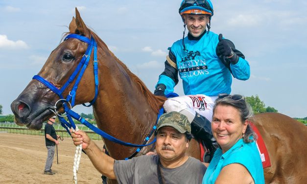For trainer Lynn Ashby a season of challenge, success