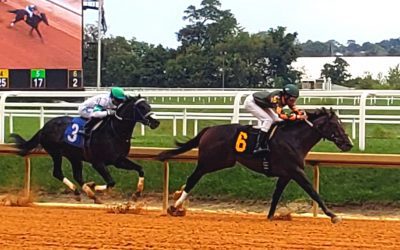 Delaware: Rocky Run Stakes poses questions