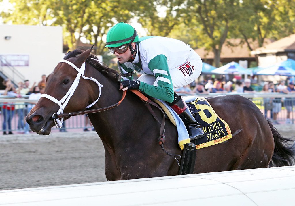 Chub Wagon won the Roamin Rachel Stakes. Photo by Nikki Sherman/EQUI-PHOTO..