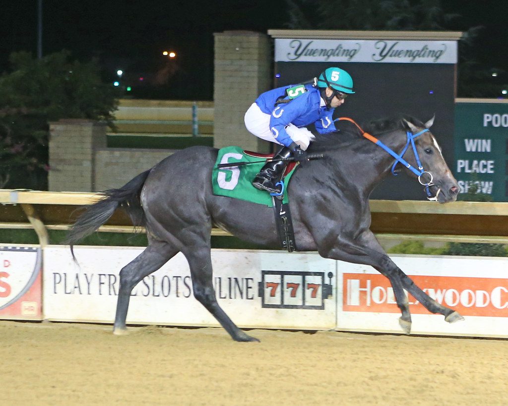 Fancy Her Up impressed in winning the Rachel's Turn. Photo by Coady Photography.